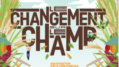 Le changement sur le champ