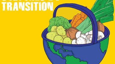 Cultures en transition