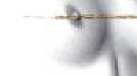 Mondialisation et nouvelles formes de violence faites aux femmes