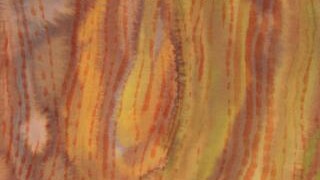 Parler avec les arbres