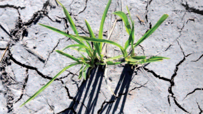 Kit pédagogique sur les changements climatiques